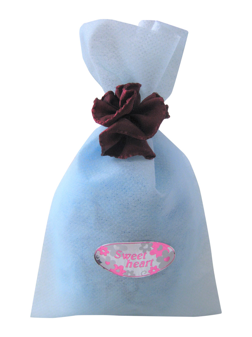 シャネル ギフトラッピング クリスマス Iucn Water