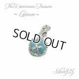 【送料込】【世界三大ヒーリングストーン】☆ドミニカの至宝 ラリマー＆シルバー925ペンダントネックレス-A2-