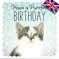 イギリス製グリーティングカード(message:Have a Purrrfect BIRTHDAY)