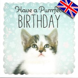 画像1: イギリス製グリーティングカード(message:Have a Purrrfect BIRTHDAY)