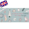 イギリス直輸入クリスマスカード(message:Have a great time!)