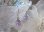 画像5: 【送料無料】【ピアス】◆flower storm◆天然石アメトリンSV925ピアス ラウンド8mm多面カット（アクセサリー 紫黄水晶 ）
