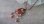 画像5: 【送料無料】【レザーネックレス】◆flower storm◆３月誕生石ピンク珊瑚と水晶の14石が輝く革紐ネックレス 長さ60cm（ピンクコーラル 桃色珊瑚 本水晶 パワーストーン）