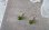 画像5: 【送料無料】【K16GPフックピアス】◆flower storm◆天然石ペリドット 大粒10mm 8月誕生石 オリーブグリーンの神秘の宝石 （橄欖石  太陽の石 パワーストーン ）