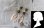 画像4: 【送料無料】【ピアス】◆flower storm◆ニュアンスカラー変形多面艶ビーズ＆メタルリーフ樹脂フックピアス（ アレルギー対応 日本製）