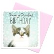 画像2: イギリス製グリーティングカード(message:Have a Purrrfect BIRTHDAY)